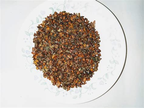 Quince Seeds: Een verhaal over de kracht van vertrouwen en het onverwachte geluk!